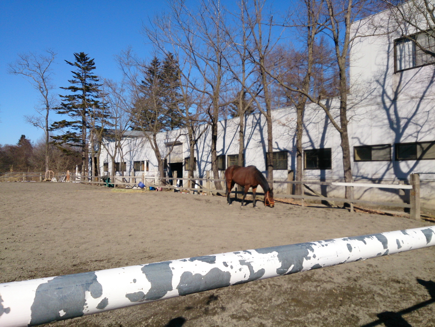 軽井沢乗馬クラブ 軽井沢乗馬クラブ