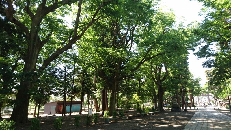 千曲市八幡にある武水別神社 千曲市八幡にある武水別神社