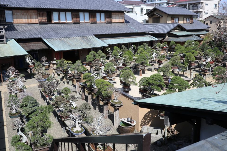 春花園 BONSAI 美術館 長野巡り＆お出かけ喜録